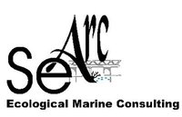 Searc-consulting